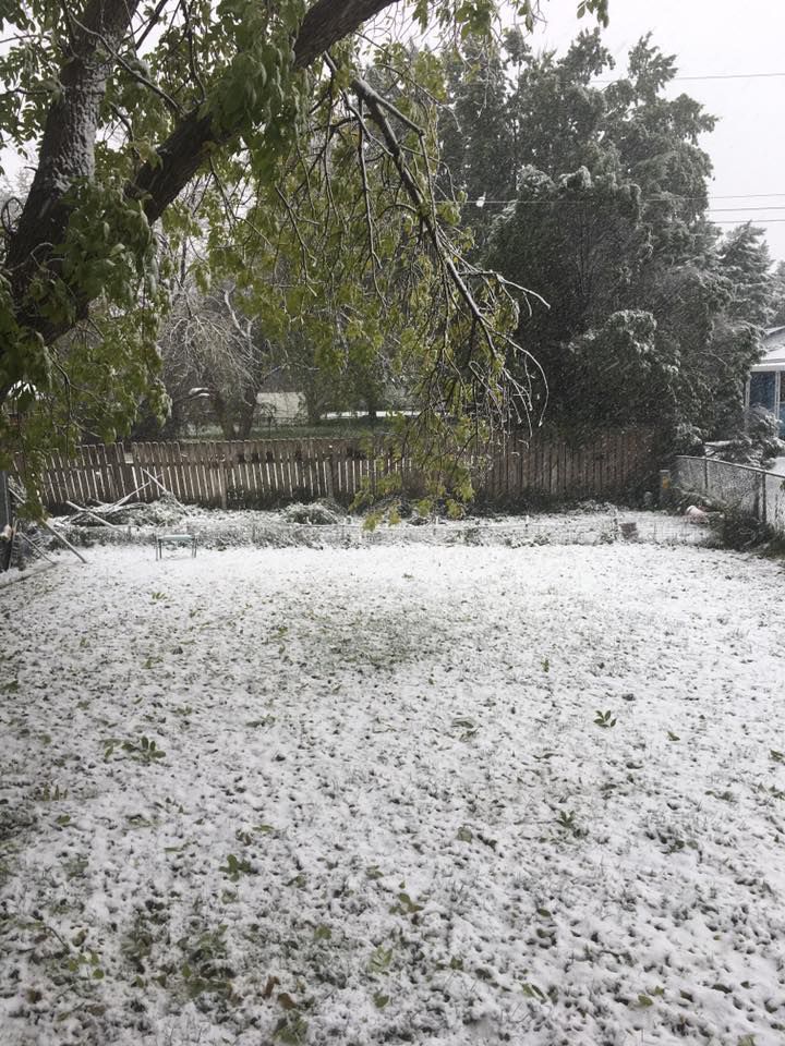 Snow, 10/14